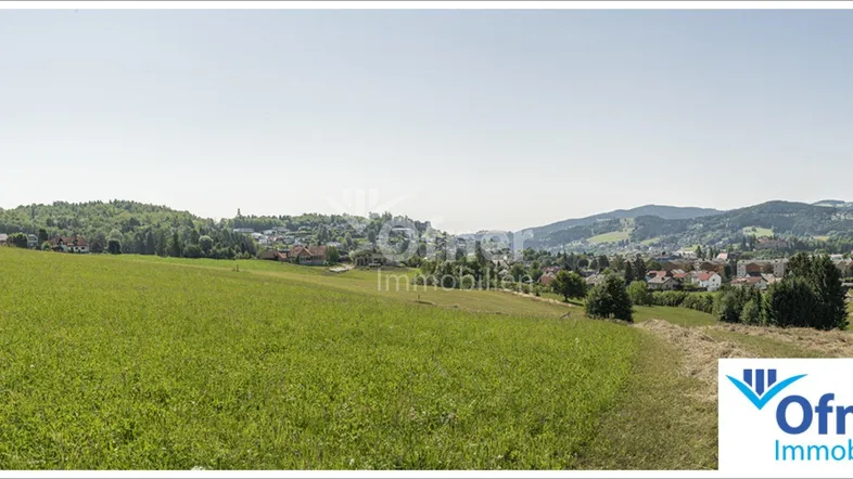 Panoramablick über grüne Felder mit einem Dorf und Hügeln im Hintergrund unter klarem Himmel.