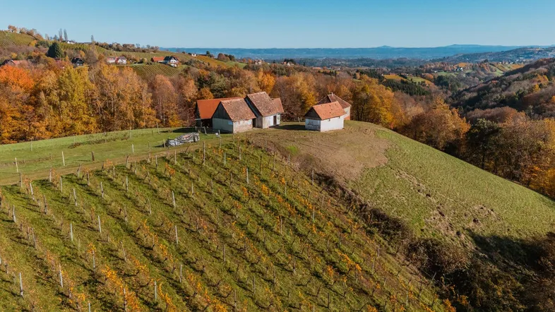 Ländliche Gebäude auf einem Hügel mit Weinbergen und herbstlicher Landschaft unter blauem Himmel.