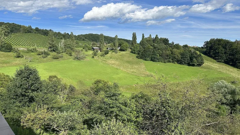 Panoramablick auf eine grüne Hügellandschaft mit Weinbergen, Feldern und vereinzelten Häusern unter blauem Himmel.