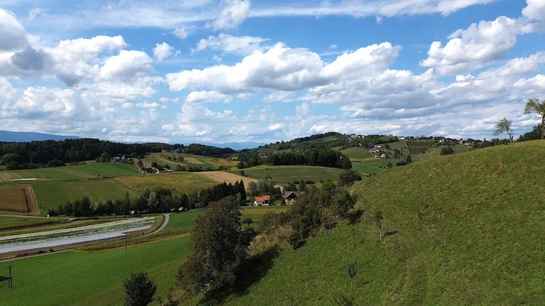 Panoramablick über eine weite, grüne Hügellandschaft mit Feldern und vereinzelten Häusern.