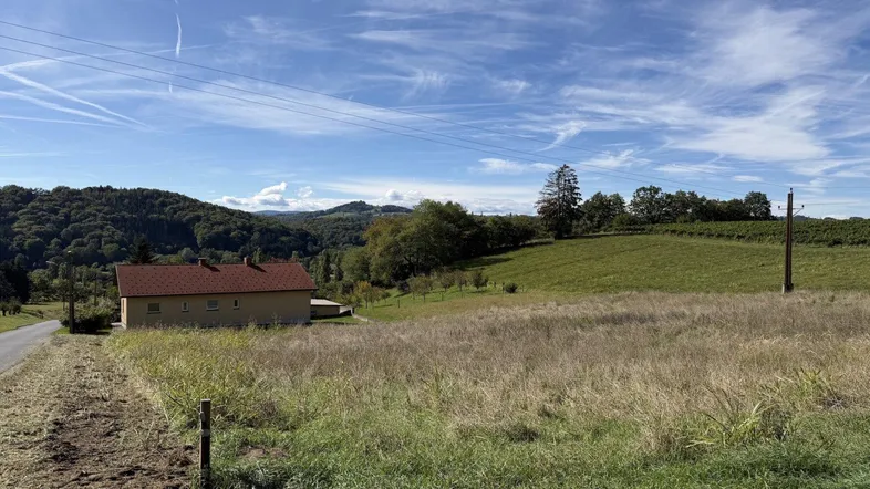 Ländliche Landschaft mit einem Haus, Feldern und Weinbergen unter blauem Himmel.