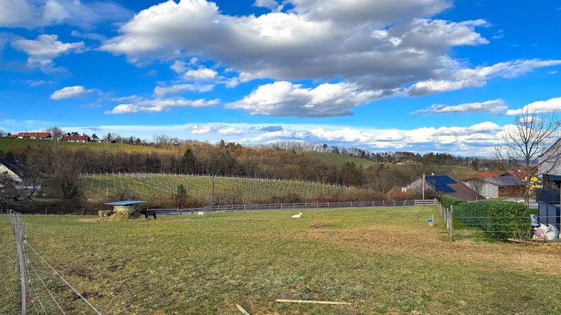 Weitläufige grüne Landschaft mit Feldern, Hügeln und vereinzelten Häusern unter einem weiten blauen Himmel.