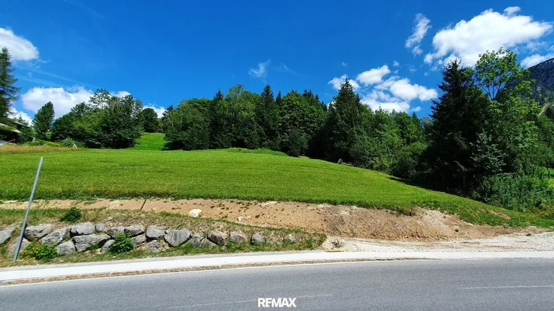 Grüne Wiese und Waldrand unter blauem Himmel, angrenzend an eine Straße mit Felsen.