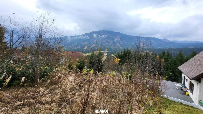 Weitläufiger Blick auf die bewaldete Berglandschaft und die umliegende Natur.