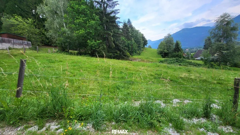 Weitläufige grüne Wiese mit Baumbestand und Blick auf die umliegende Berglandschaft.