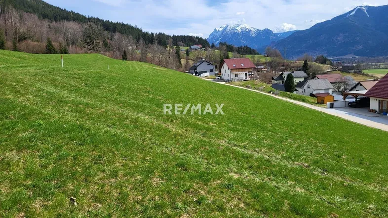 Grüne Wiese mit Blick auf Wohnhäuser und schneebedeckte Berge im Hintergrund unter blauem Himmel.