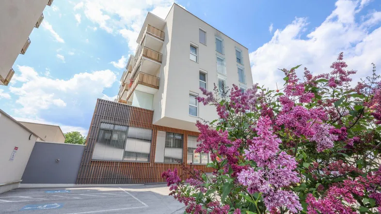 Modernes Mehrfamilienhaus mit Balkonen und blühenden Sträuchern im Vordergrund.