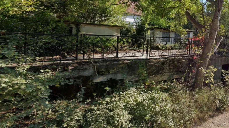 Verwildertes Grundstück mit alter Mauer und üppiger Vegetation, umgeben von Bäumen und Sträuchern.