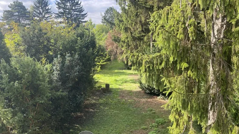 01 Grundstück in Langenzersdorf