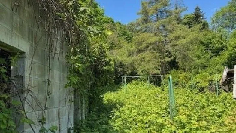 Garten.