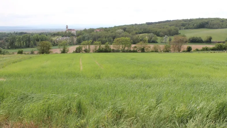 Weite grüne Felder erstrecken sich bis zum Horizont mit einem Dorf und Wald im Hintergrund.