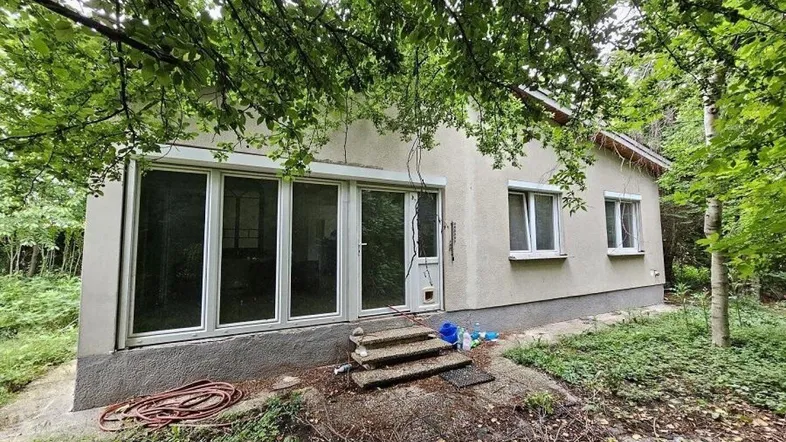 Einfaches Haus umgeben von üppigem Grün und Bäumen, mit großen Fenstern und Rollläden.