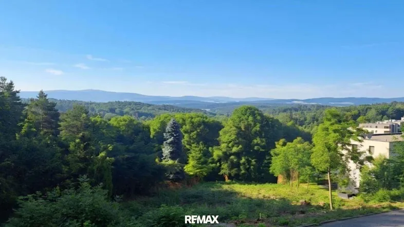 Weitläufiger Panoramablick über grüne Wälder und eine hügelige Landschaft mit fernen Bergen.