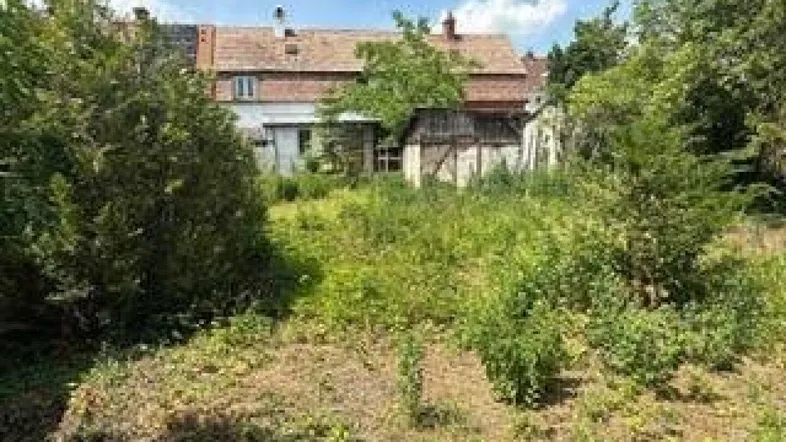 Überwachsener Gartenbereich vor einem älteren Haus, das Renovierungsbedarf aufweist.