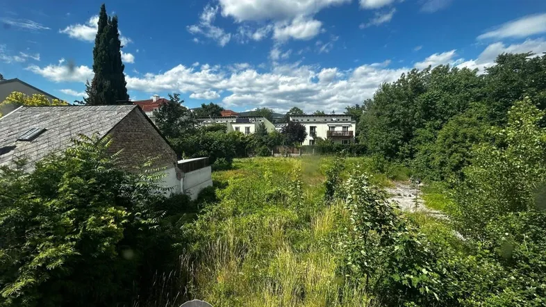Blick auf ein unbebautes Grundstück mit viel Grün und umliegenden Gebäuden unter blauem Himmel.