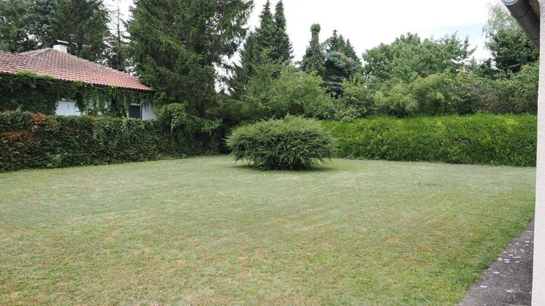 Großer, gepflegter Rasenbereich mit Hecken und Bäumen, ideal für Freizeitaktivitäten im Freien.