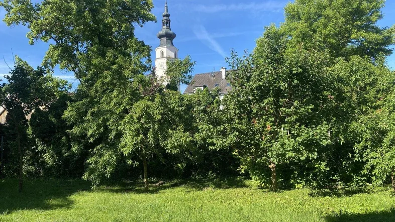 Grüner Gartenbereich mit hohen Bäumen und Blick auf einen Kirchturm unter blauem Himmel.