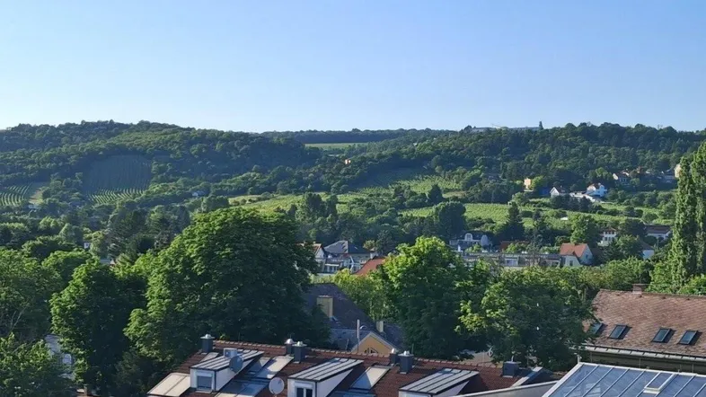 Weitläufiger Blick über grüne Hügel, Weinberge und Dächer einer Wohnsiedlung bei klarem Himmel.