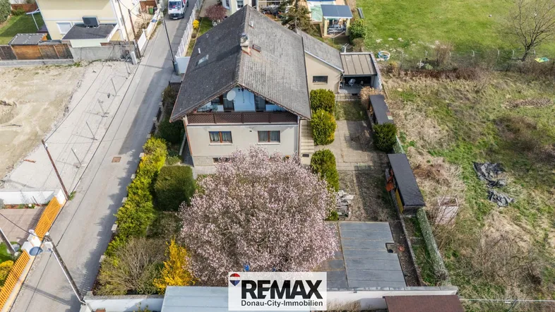 Luftaufnahme eines Einfamilienhauses mit blühendem Baum und angrenzendem Gartenbereich.