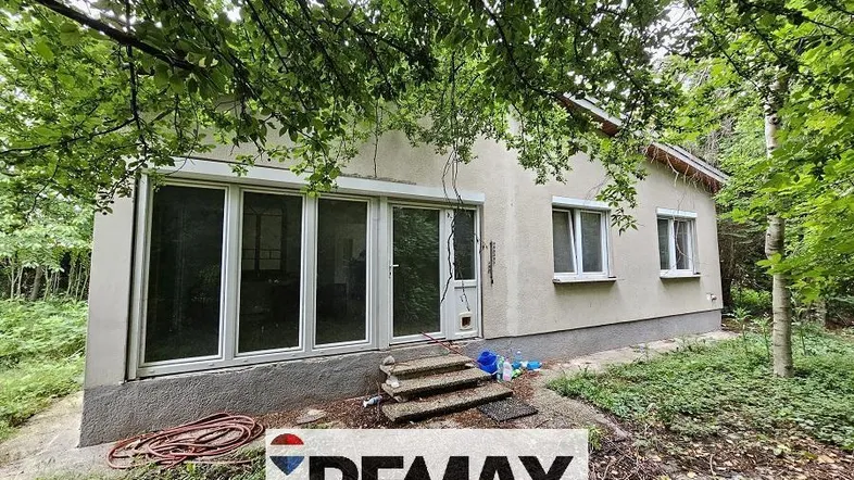 Einfamilienhaus mit großen Fenstern und Rollläden, umgeben von üppigem Grün und Bäumen.