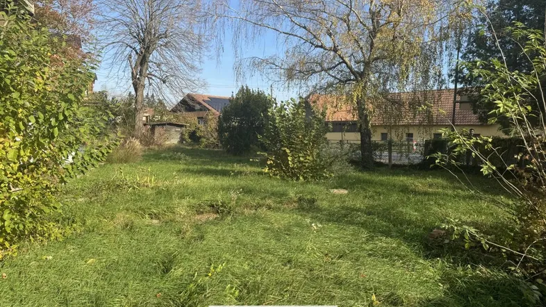 Großes Grundstück mit viel Grünfläche und Baumbestand in ländlicher Umgebung.