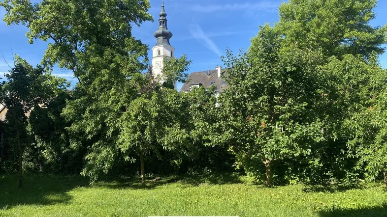 Grüner Gartenbereich mit Bäumen und Blick auf einen Kirchturm unter blauem Himmel.