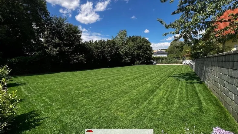 Großer, gepflegter Rasenbereich mit grünen Bäumen im Hintergrund und einer Steinmauer an der Seite.