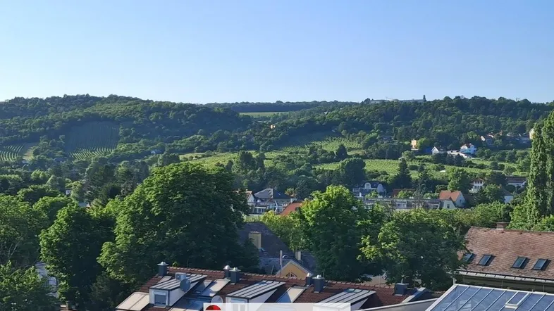 Weitläufiger Blick über grüne Hügel, Weinberge und Dächer mit Solaranlagen unter blauem Himmel.