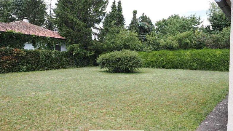 Große Rasenfläche mit gepflegtem Garten und Bäumen, ideal für Erholung im Freien.