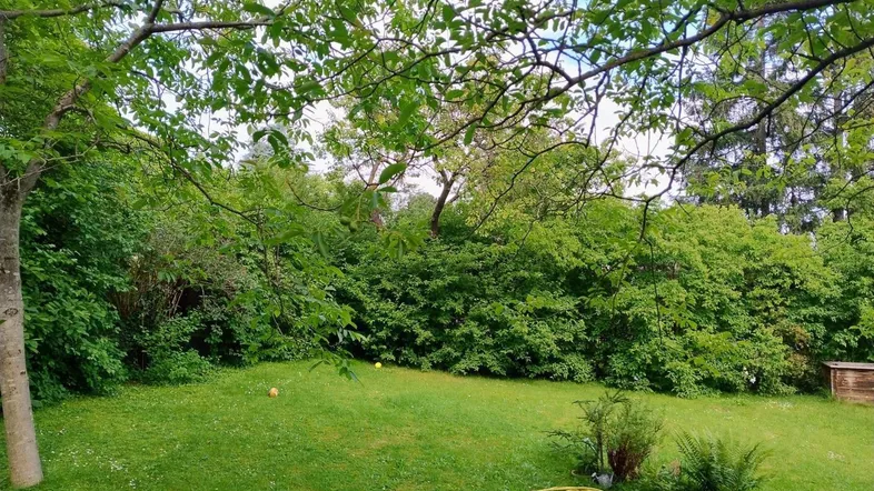 Großer, gepflegter Garten mit viel Grün, Bäumen und einem kleinen Holzschuppen im Hintergrund.