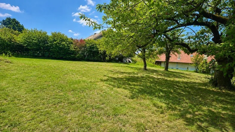 Große grüne Wiese mit Bäumen und einem Haus im Hintergrund unter blauem Himmel.