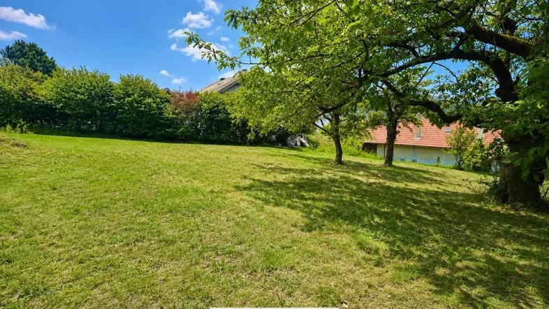 Weitläufige Rasenfläche mit Bäumen und Blick auf ein Gebäude im Hintergrund unter blauem Himmel.