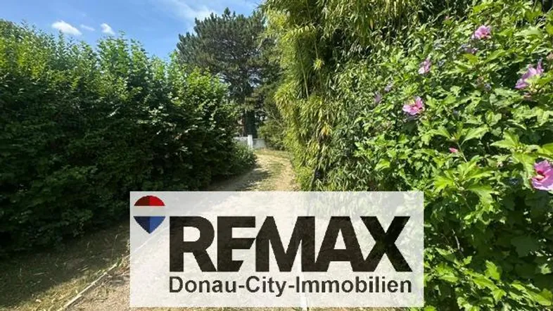 Ein verwachsener Gartenweg führt durch dichte Vegetation unter blauem Himmel.