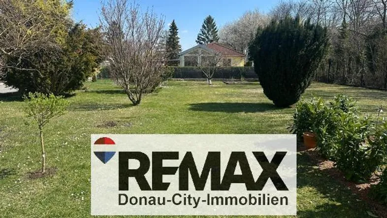 Großer Garten mit Rasenfläche und verschiedenen Bäumen, im Hintergrund ist ein Haus sichtbar.
