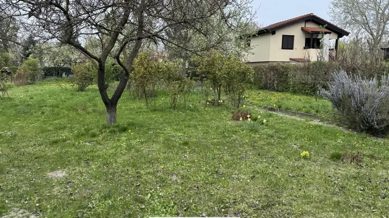 Großer Garten mit Rasenfläche, Bäumen und einem Haus im Hintergrund, ideal für Erholung im Freien.