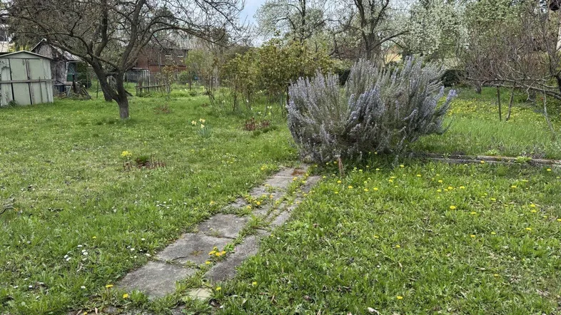 Großer Garten mit Rasenfläche, Blumen und einem kleinen Gartenweg, umgeben von Bäumen.