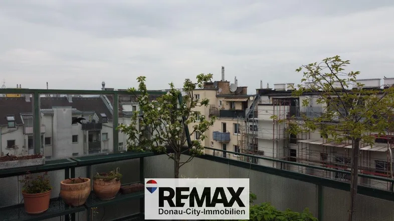 Dachterrasse mit Pflanzen und Blick über die Dächer der Stadt unter bewölktem Himmel.