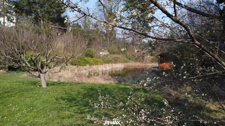 Idyllischer Gartenbereich mit Teich, blühenden Bäumen und einer kleinen Holzhütte in frühlingshafter Umgebung.