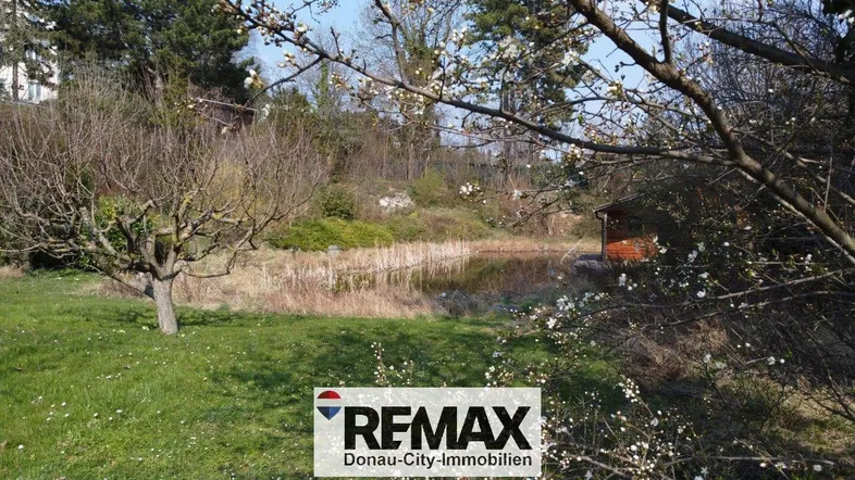 Idyllischer Gartenbereich mit Teich und blühenden Bäumen, umgeben von viel Grün.