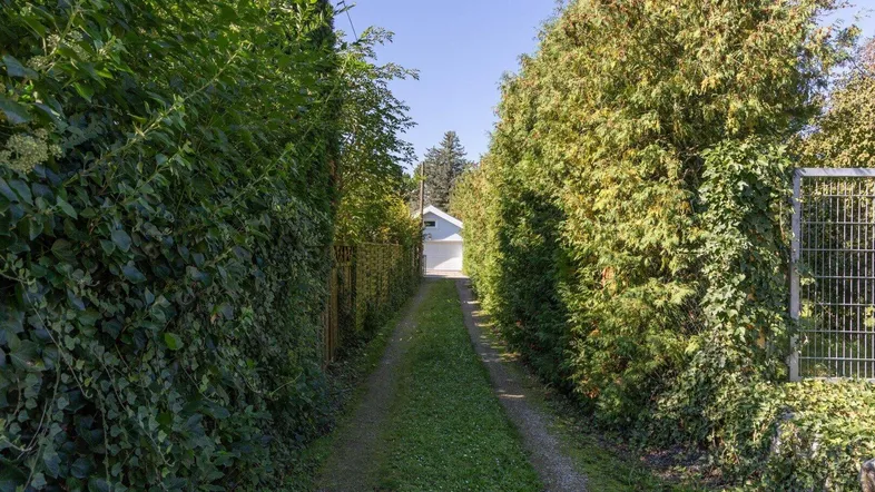 Langer, von hohen Hecken gesäumter Weg, der zu einem Gebäude im Hintergrund führt.