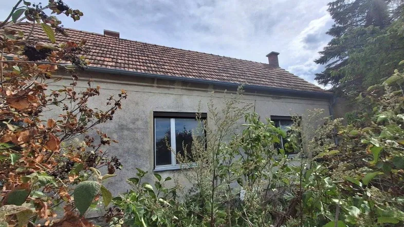 Altes Haus mit Ziegeldach und überwuchertem Garten, umgeben von Bäumen und Sträuchern.