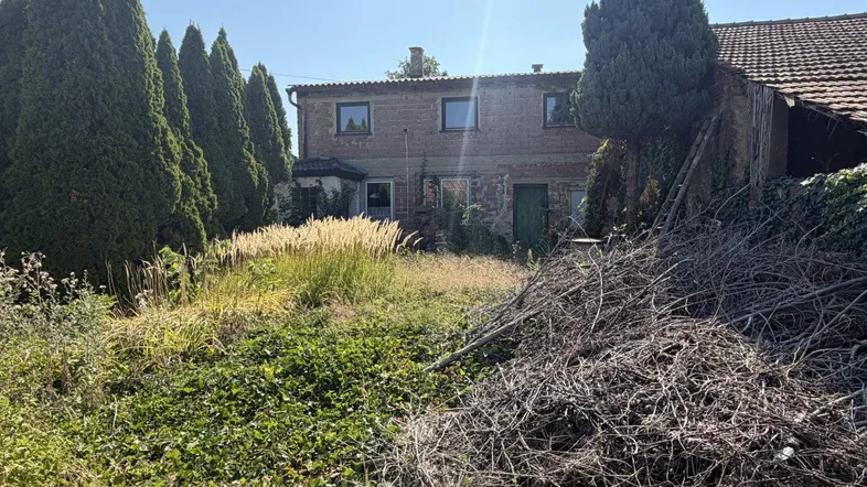 Blick auf das Haus von hinten mit einem verwilderten Garten und hohen Bäumen.