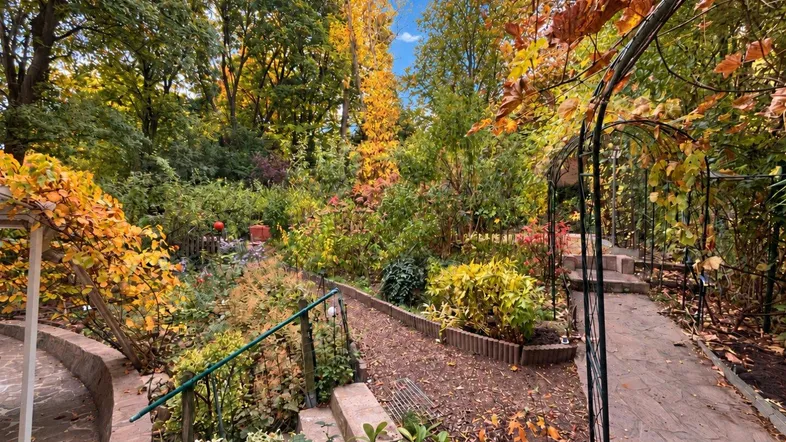Malerischer Gartenweg mit herbstlichem Laub und üppiger Vegetation, umgeben von Bäumen.