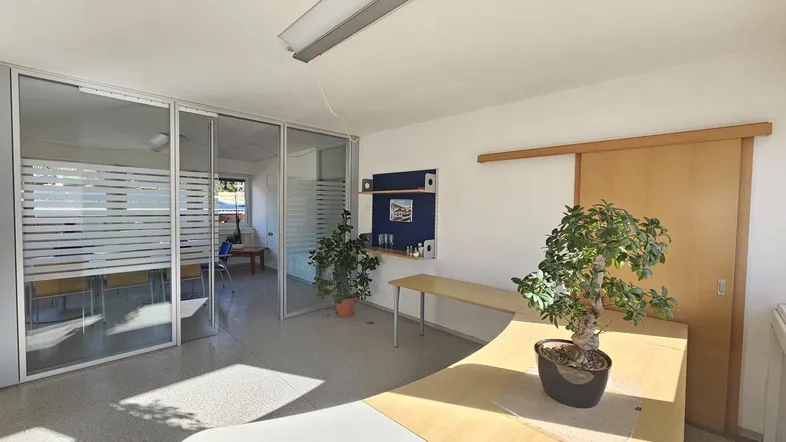 Helles Büro mit Glaswänden, Schiebetür und einem Bonsai auf dem Schreibtisch, gut beleuchtet durch Tageslicht.
