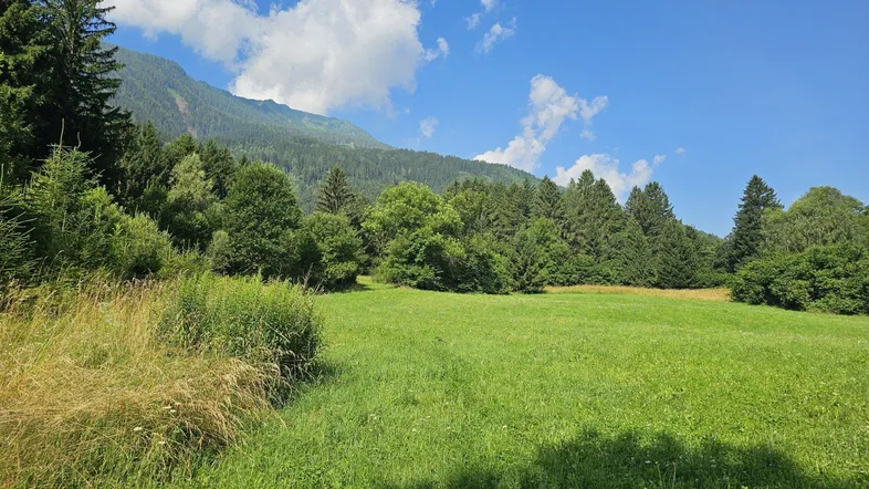 Weite grüne Wiese umgeben von Bäumen und Bergen unter einem strahlend blauen Himmel.