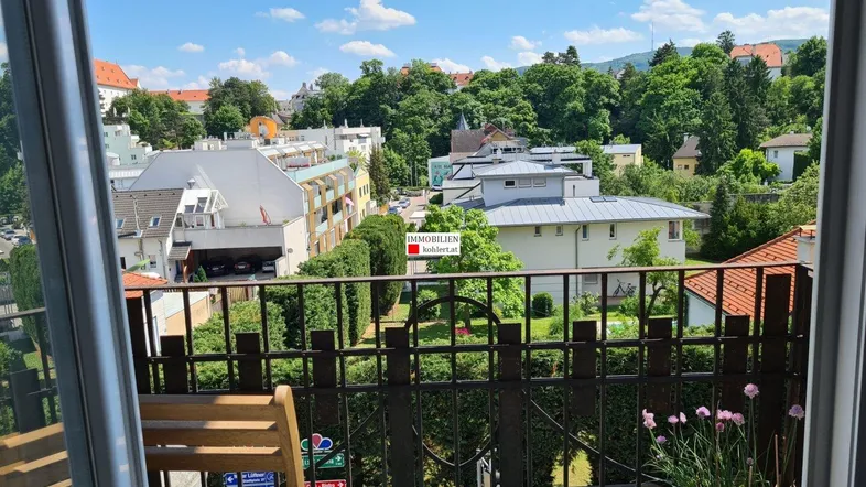 Blick vom Balkon auf die umliegende Wohngegend mit viel Grün und blauen Himmel.