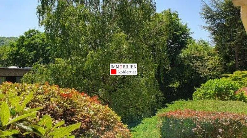 Üppiger grüner Gartenbereich mit hohen Bäumen und gepflegten Sträuchern.