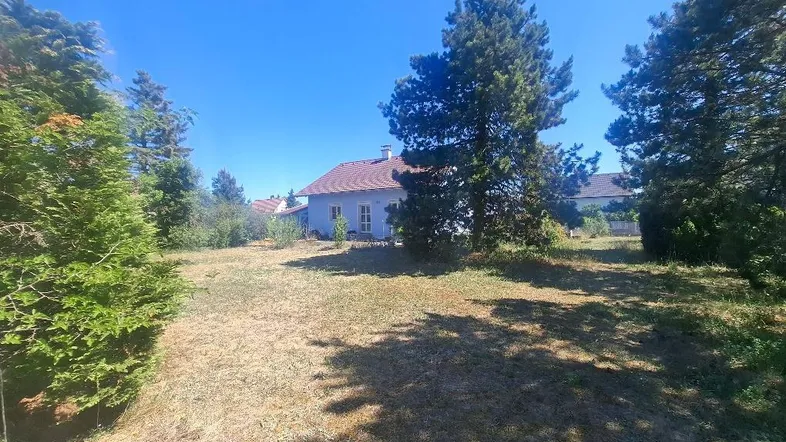 Blaues Haus mit rotem Dach, umgeben von einem großen, sonnigen Grundstück mit Bäumen.
