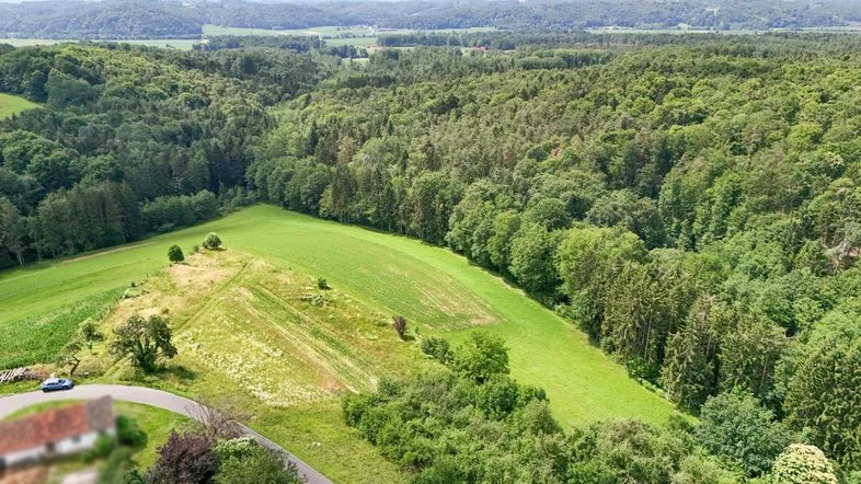Luftaufnahme einer weitläufigen grünen Landschaft mit Wäldern, Feldern und einer kurvigen Straße.