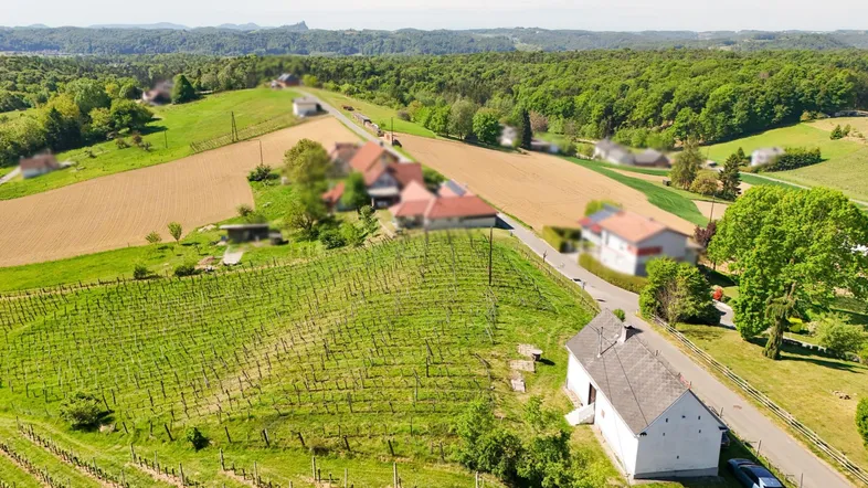 Luftaufnahme eines Hauses inmitten von Weinbergen und grüner Landschaft mit Weitblick.